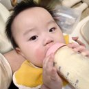 대덕전자 바른 노동조합 | 신생아분유추천 소화가 편한 앱솔루트 센서티브 &amp; 리안 아기띠 출산준비물 세트