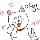 메다카갤러리 네이버블로그