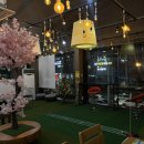 안경백화점 터미널점 이미지