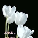 행복한아침 이미지