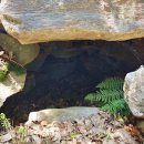 운학동 돌방무덤 이미지