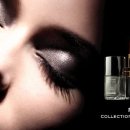 르 베르니(Le vernis)
