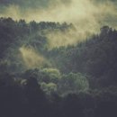 알찬정보 이미지