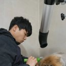 힐링그루밍 이미지