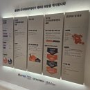 생활속의 조경이야기 | e편한세상 내포 퍼스트드림 주택전시관 방문 후기