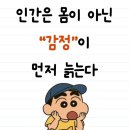 빨간머리앤