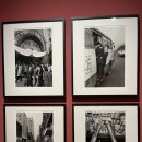 정오의 태양 발전소 | [Exhibition] 80 도시현실