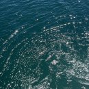 성산포항 공중화장실 | 섬 속의 섬 비양도 백패킹ㅣ백패킹 3대 성지