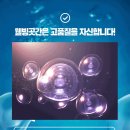 웰빙1000 이미지