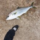 동삼동 어촌체험마을 이미지