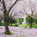 무궁화동산 족구장 화장실 이미지