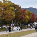 코끼리가든 | 서울대공원 동물원 지도 시간 테마가든 코끼리열차 패키지 입장권 입장료 티켓 예매 동물 후기