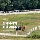 현목장 | [고양 가볼만한곳] 🐎 17개월아기랑 원당종마목장 유모차 산책 다녀왔어요! (with. 외함미)