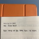 연두버들