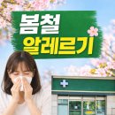 대전의원 | 봄철 알레르기 증상 총정리 및 예방법 (+ 대전 복십자의원 상담 후기)