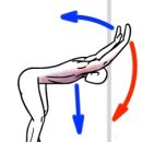 시드니짐 이미지