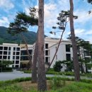 춘천농협 경제사업소 이미지