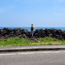 온평환해장성 이미지