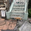 카페루틴 이미지