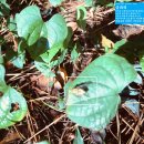 탑골농원 이미지