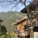 향초목원 이미지