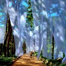 재량권 남용과 미필적 고의, 피의자 인간 이미지