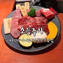 [부산/전포] 전포동 소고기 야끼니꾸맛집 소등주가 솔직 후기