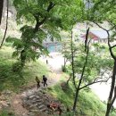 둥지휴양림 이미지