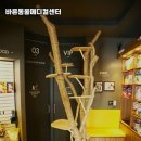 바른동물메디컬센터 이미지