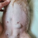 현대종합동물병원 이미지