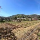 연곡리 농장 이미지