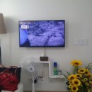 남이섬ND209펜션 이미지