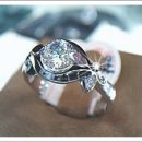 송 쥬얼리 이미지