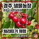 서오리 중부 이미지