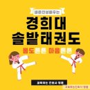 경희대솔밭태권도 이미지