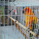 온세미로 아파트 이미지