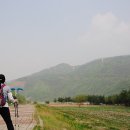 아우라지역 이미지