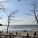 허벌네횟집 | 인천 휴양지 분위기 카페, 뻘다방