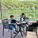 파우스542