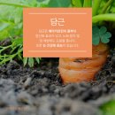 무지개과일 - 성남시 중원구 산성대로472번길 4-1 | 무지개과일