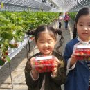 김태경 농장 이미지