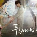 푸른바다유 이미지