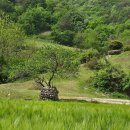 십이폭포민박 이미지