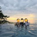 (251009) 아일랜드 리솜 리조트_오아식스_OASIX