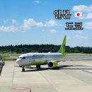 세븐일레븐인천플러스점 | 도쿄 여행 비행편 진에어 탑승 후기 LJ209 LJ204