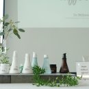 해피라이프 솔루션 | 닥터디퍼런트 세콜지 스킨케어, 마음의 장벽 부수고 피부장벽은 탄탄히!