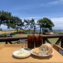 제주도 애견동반 맛집/카페 25곳 총정리(feat.제주도 한달살기)