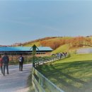 대승목장 이미지