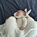 정원하우스 이미지