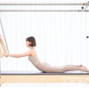 더핏필라테스 네이버블로그